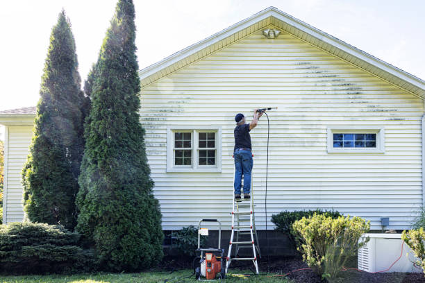 Best Sidewalk and Walkway Pressure Cleaning in USA